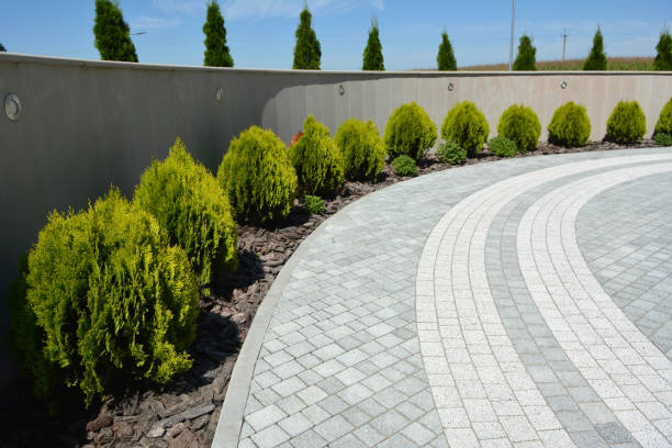 Best Decorative Driveway Pavers  in Hesperia, CA